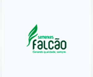 sementes falcao